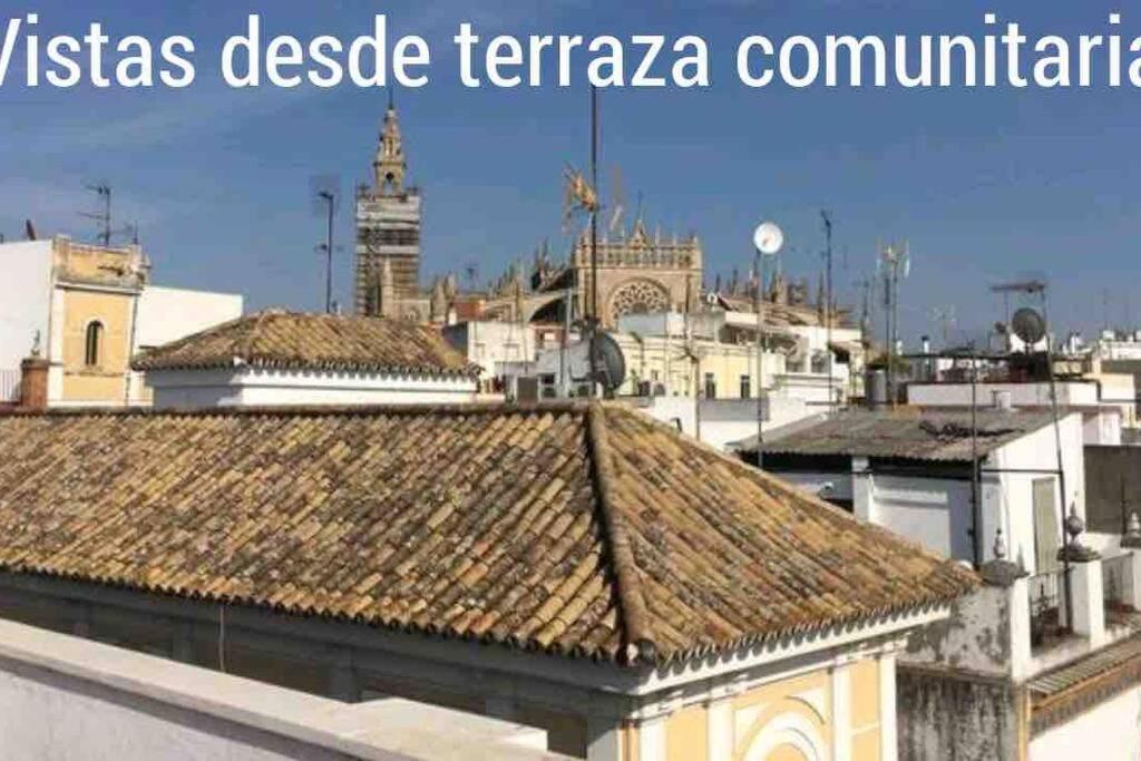 Cder Center Cathedral And Alcazar * Séville